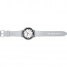 Часы Samsung Galaxy Watch 6 Classic 47mm Silver
